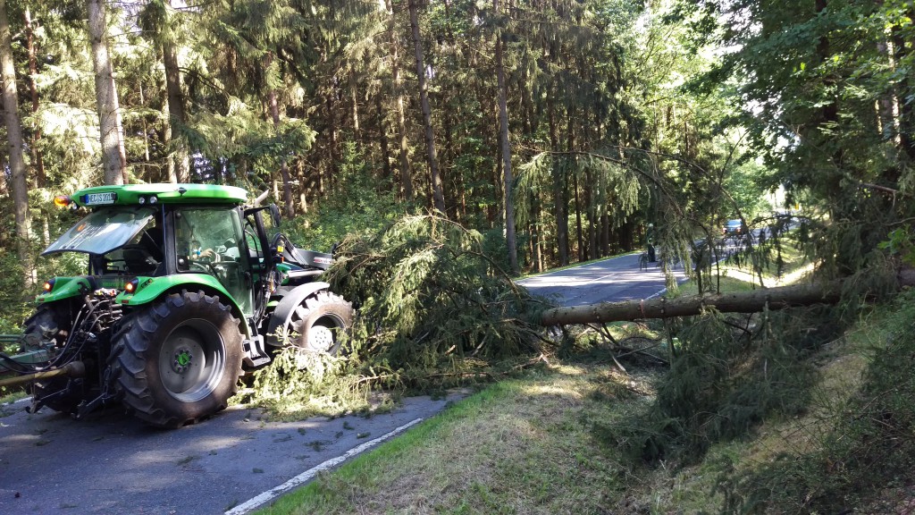 Baum über Fahrbahn (2)