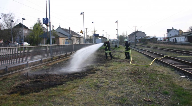 Brand einer Freifläche am 02.04.14