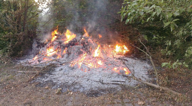 Flächenbrand am 26.07.14