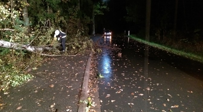 Baum auf Fahrbahn Ebersdorfer Straße