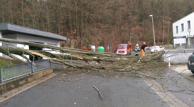 Baum auf Fahrbahn Krankenhaus