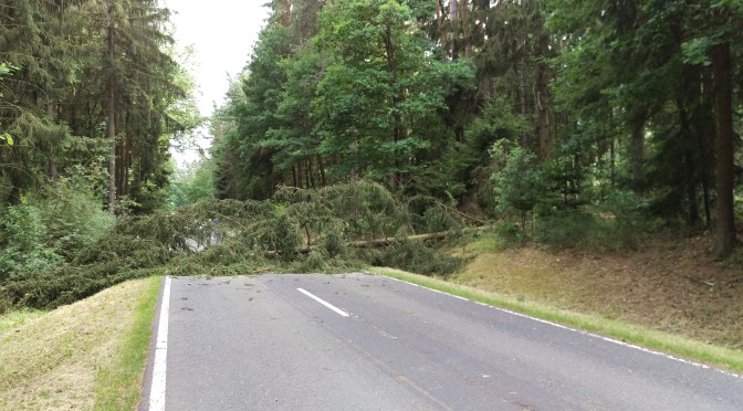 Baum über Fahrbahn am 25.07.2015