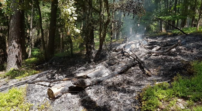 Waldbrand am Muppberg 18.06.17