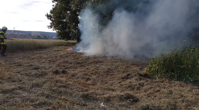 Brand einer Freifläche am 23.06.17